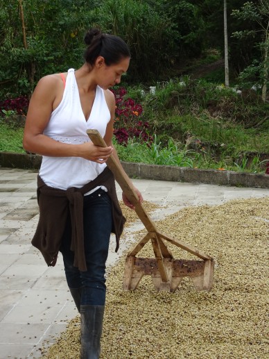 Diana Visits ElRecreo Mountain Bird Coffee