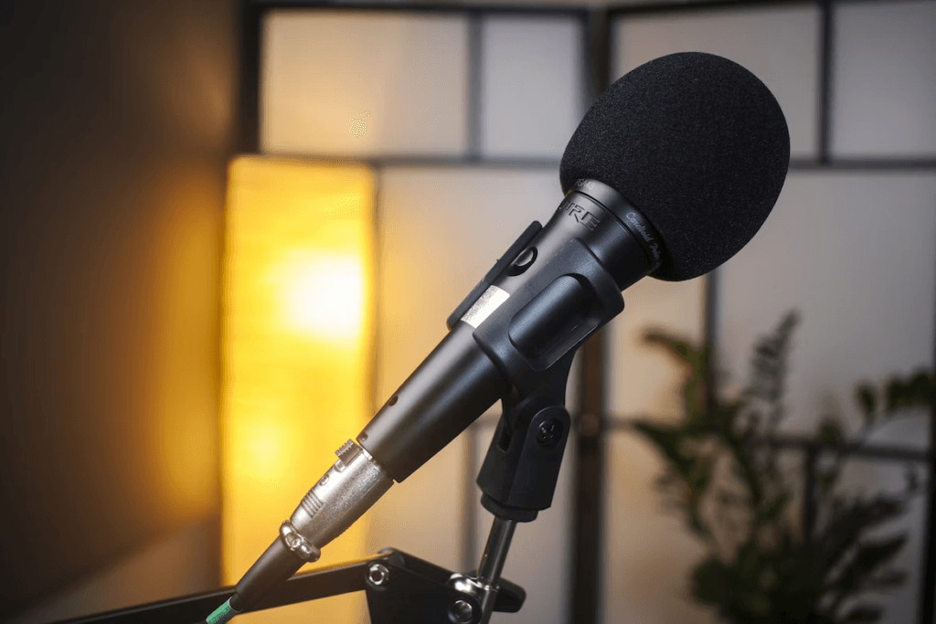 budget wireless microphone