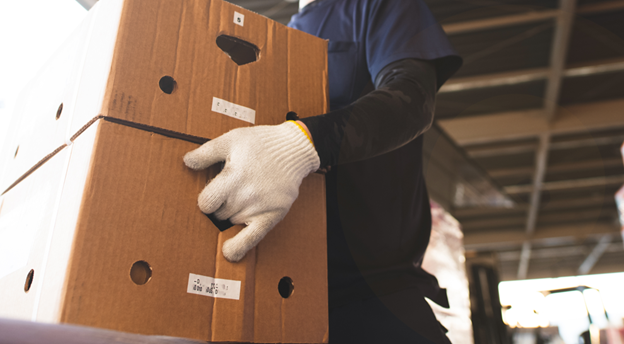 Moving Boxes with gloves