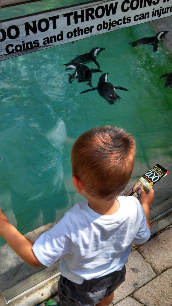 Making the most of our zoo pass