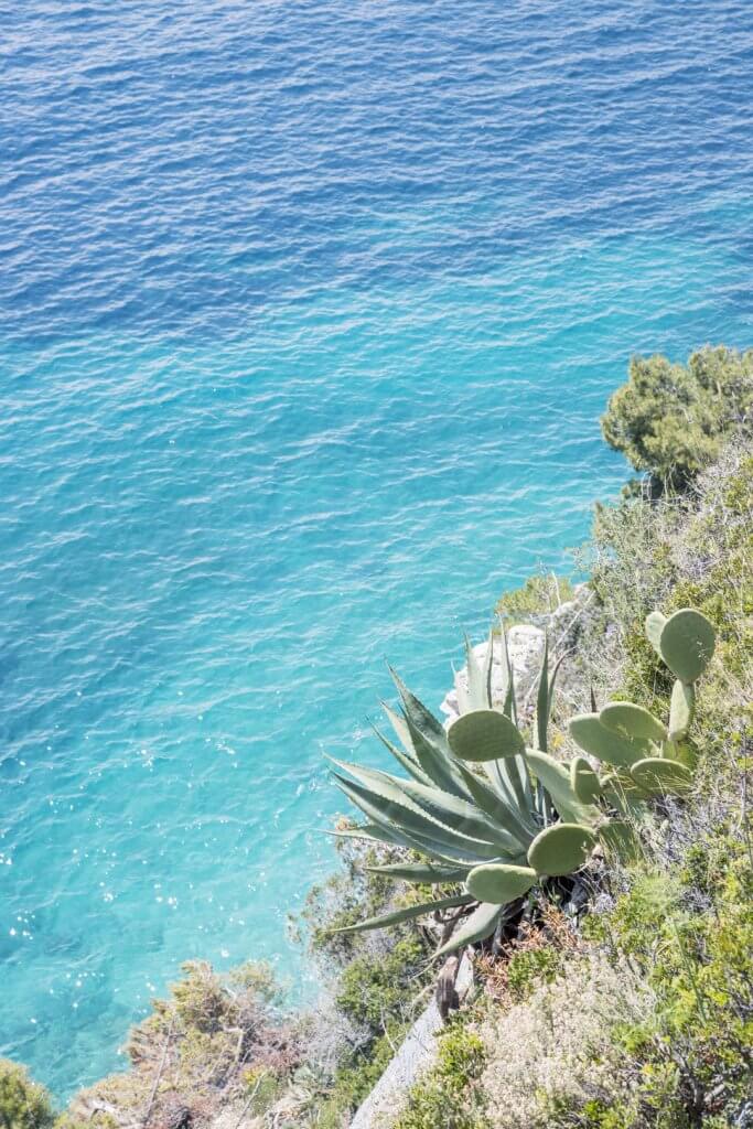 Looking down at the turquoise Mediterranean water from the Basse Corniche, France, by Cattie Coyle Photography
