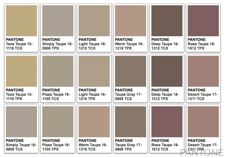 Pantone Taupe Colour Swatch