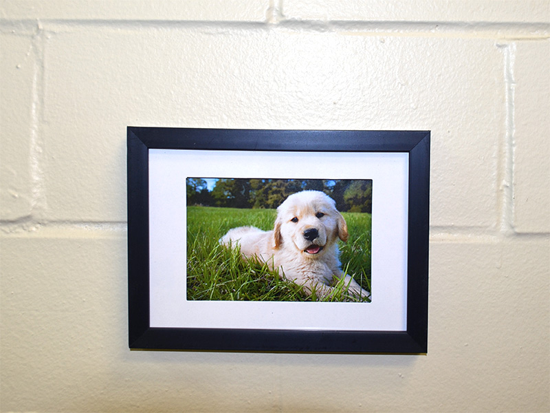 Apply UGluÂ® to your picture frames and apply to your walls! It sticks to cinder block walls, regular painted walls, brick walls, you name it and UGluÂ® sticks to it! 
