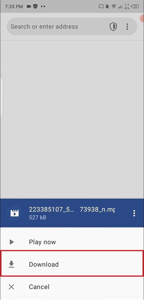choose the download option