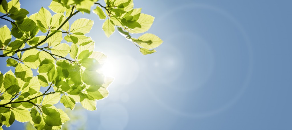 iStock-646559092-1-1024x456