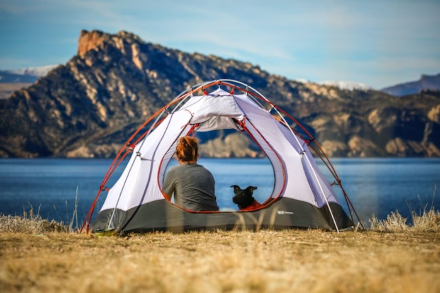 Dog And Human Inside An Open Tent