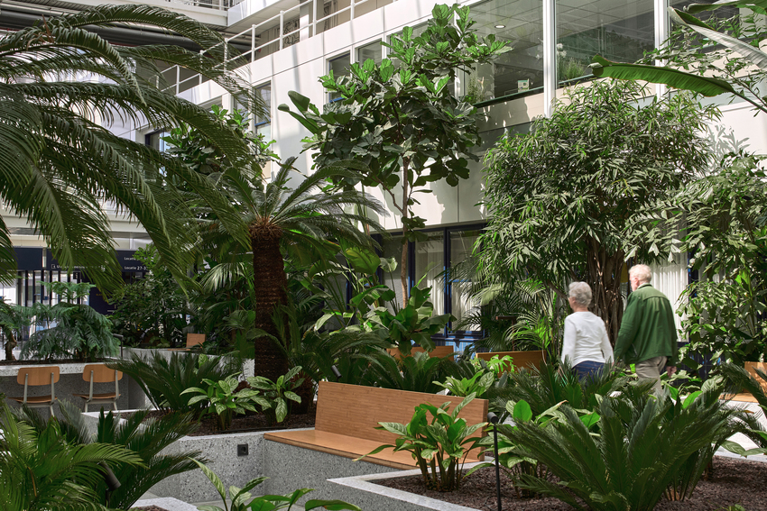 Inspiring Interior Design Trends For 2023 Part III: Green Living