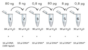 Prepare DNA Dilution Series