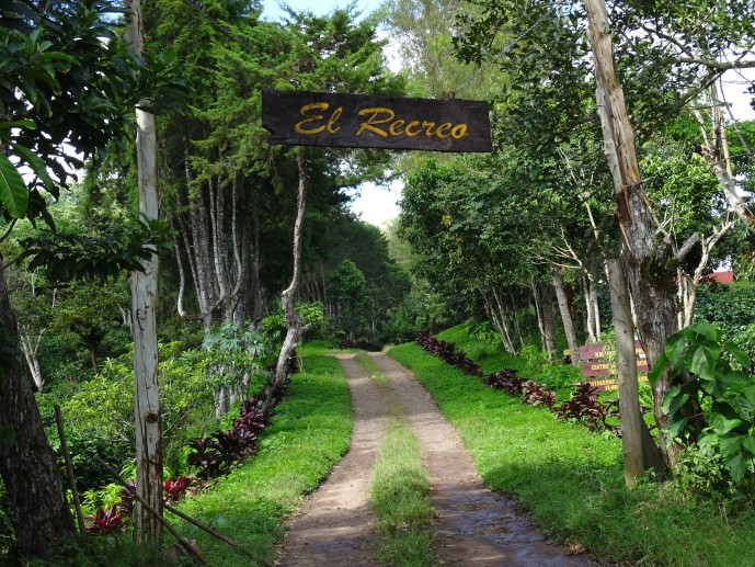 Diana Visits ElRecreo Mountain Bird Coffee