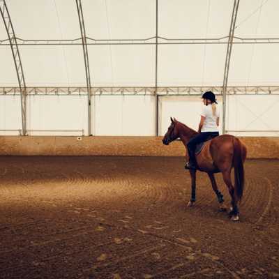 horse riding arena picture for geotextile membranes explained blog post 