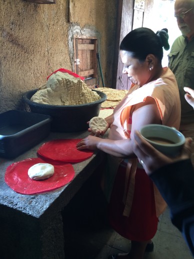 Diana Visits ElRecreo Mountain Bird Coffee