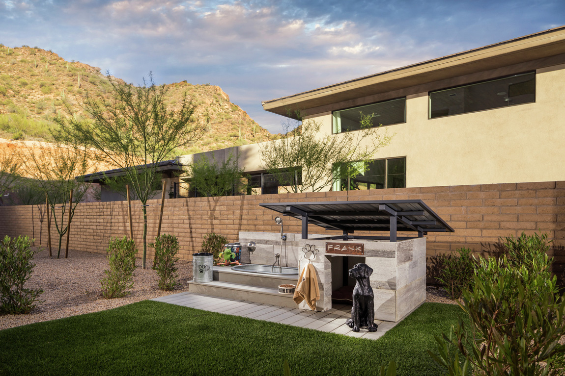 Pet-Friendly Backyard
