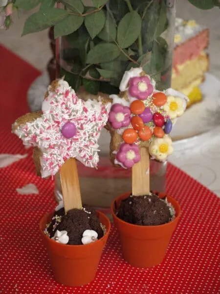 Finished Flower Pot Cookie Cakes