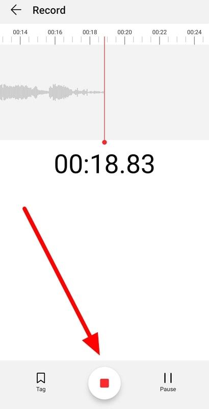 stop the recording and rename audio
