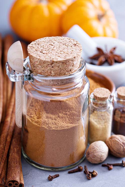 Blog Image: Pumpkin Pie Spice Blog Image: Pumpkin Pie Spice