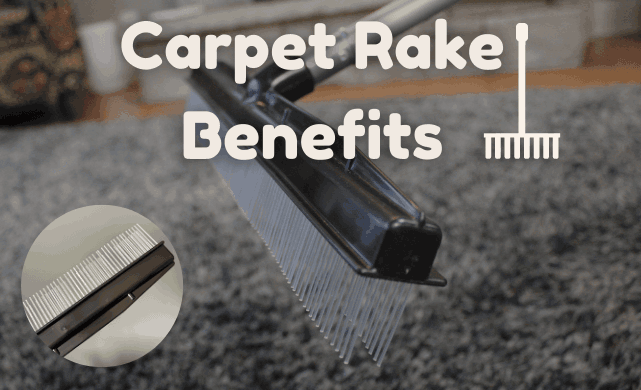 carpet rakes