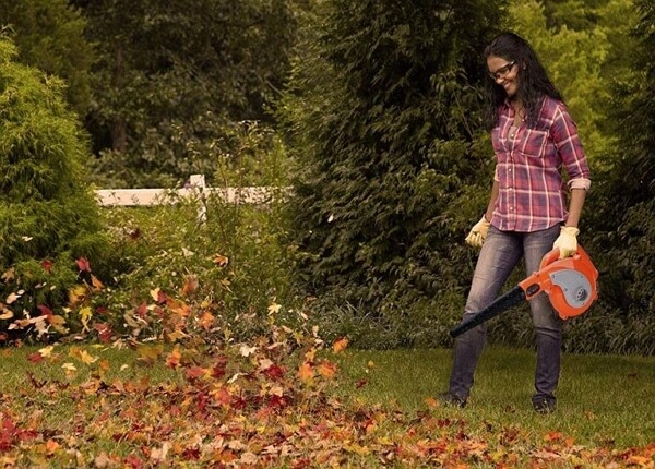 handheld leaf blower