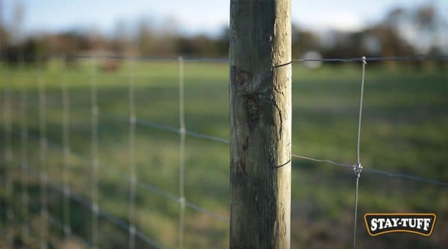 Both metal fencing and wood fencing require posts