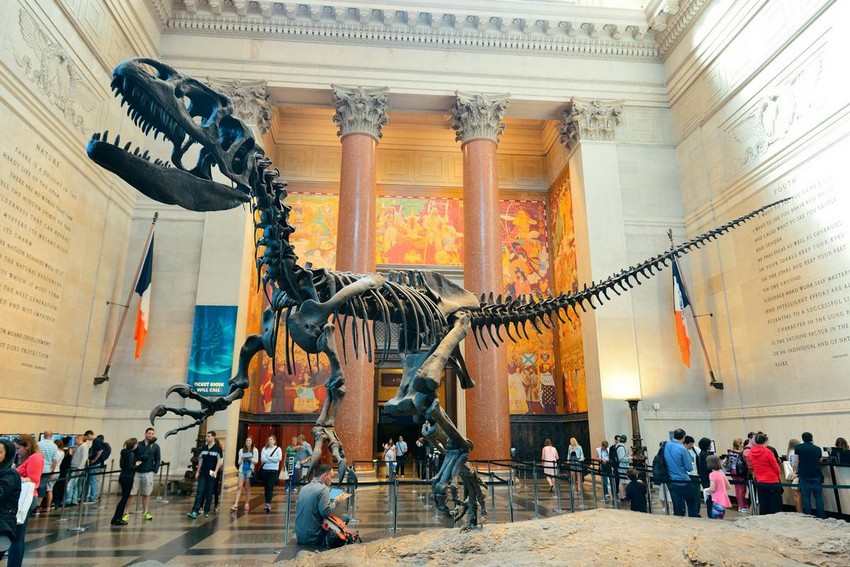 A New York City Luxury Guide For ICFF #2: Museums