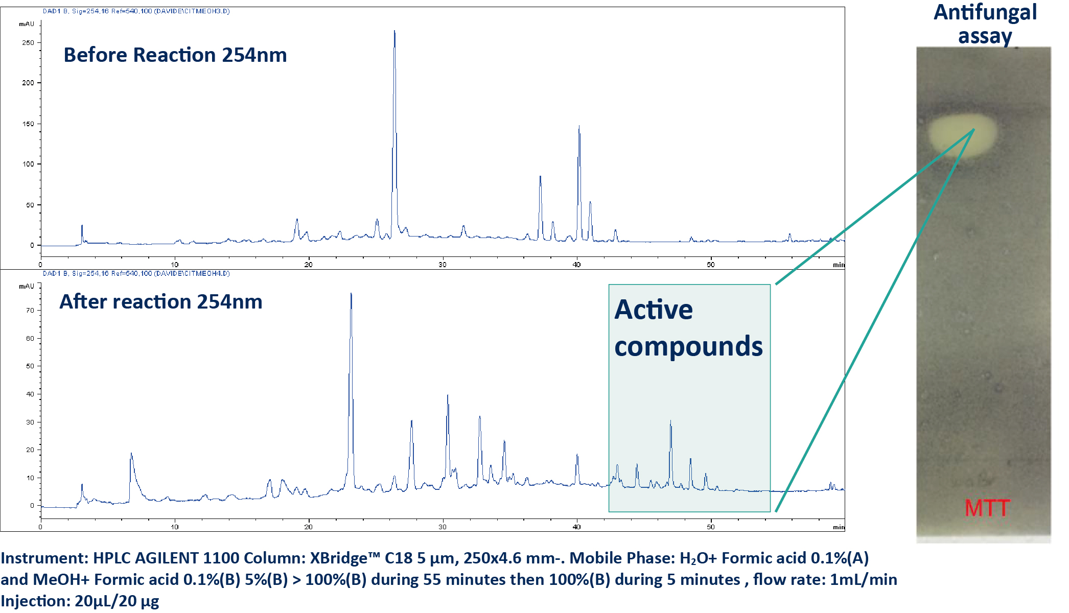 HPLC UV Analysis of the Crude Extract Before and After Reaction