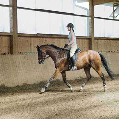 picture of a horse rider in arena