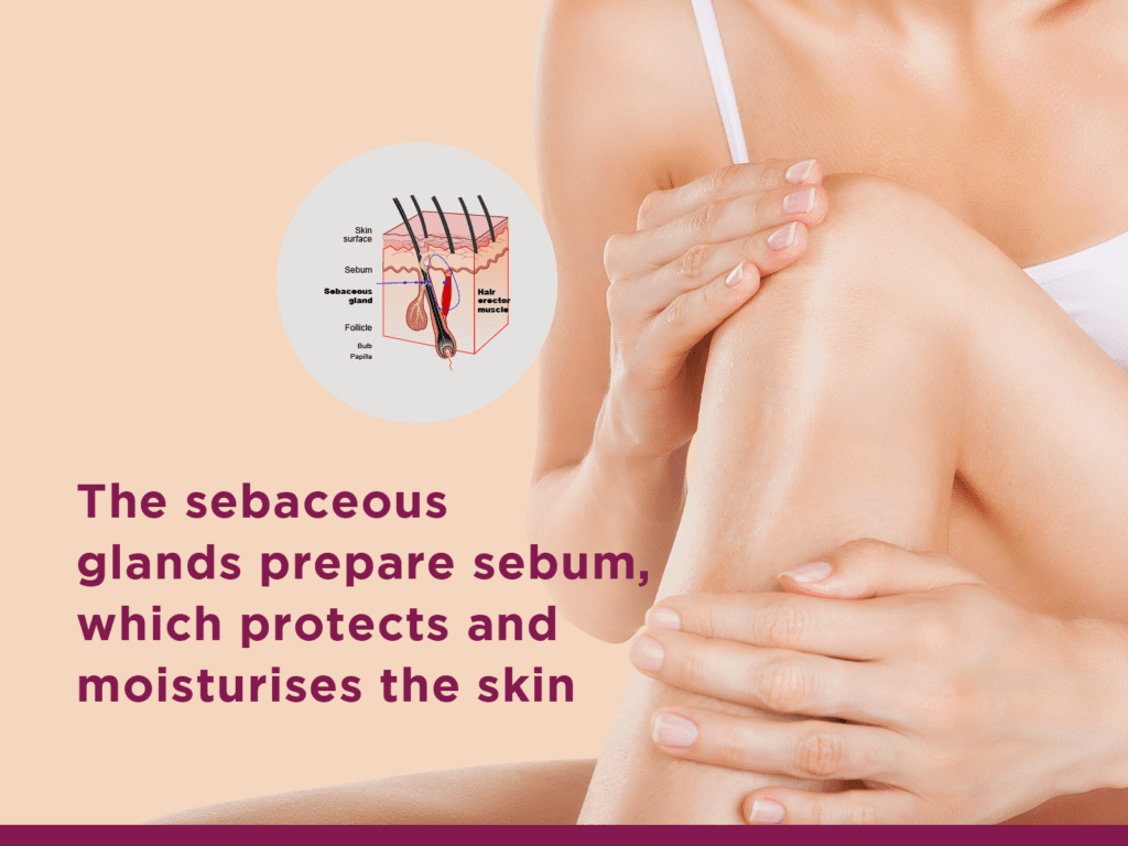 How to Get Rid of Oily Skin? 5 Tips For Managing Oily and Acne -Prone Skin 2 Moisturizing oily skin Dr tina