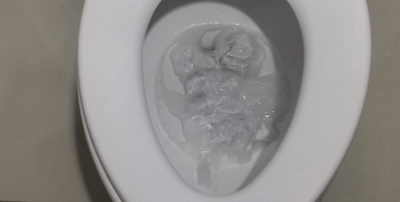 Blocked toilet due to too much toilet paper