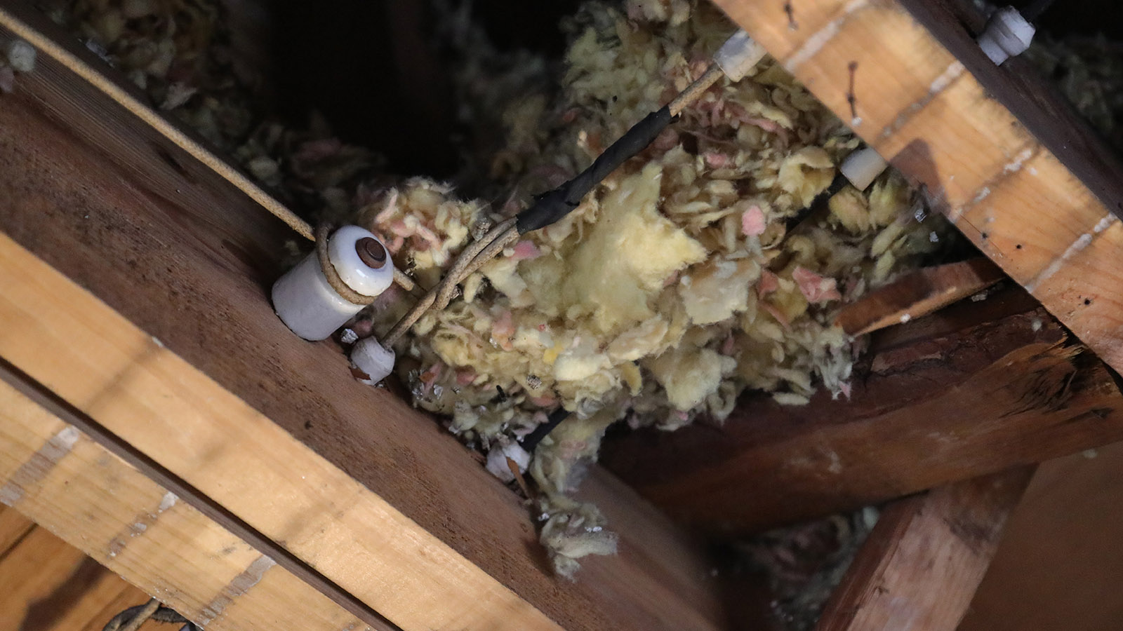 Moldy insulation in an open wall