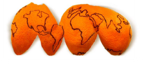 Illustration of Citrus Modials
