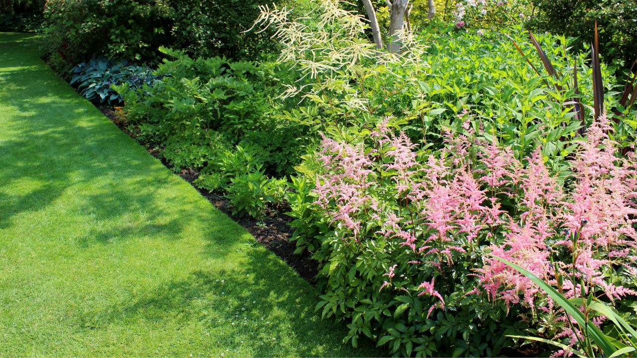 Garden Edging