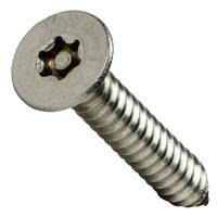 Torx Cap Screw