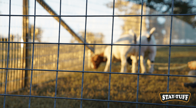 STAY-TUFF 4×4 Panel is a great solution for temporary fences