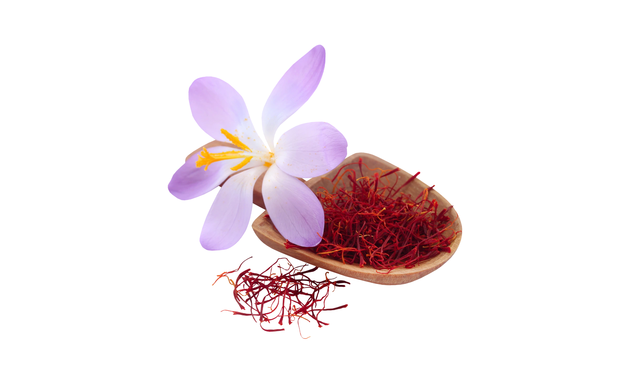 Saffron Close-Up