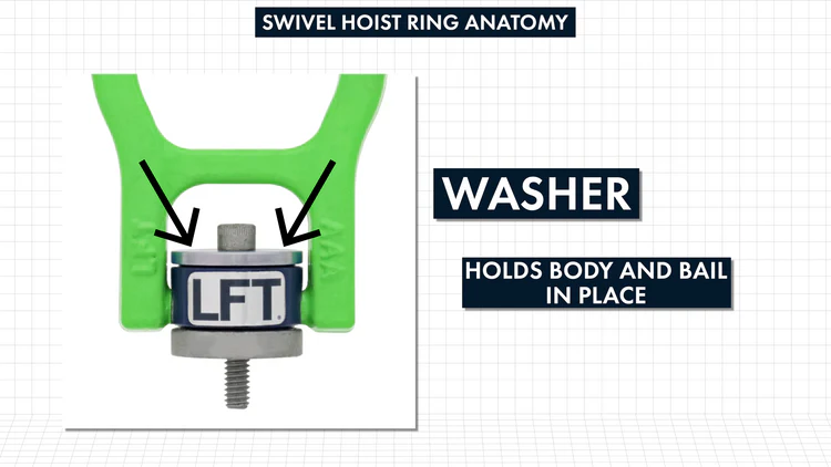 SWIVEL_HOIST_RINGS_101_anatomy_washer SWIVEL_HOIST_RINGS_101_anatomy_washer