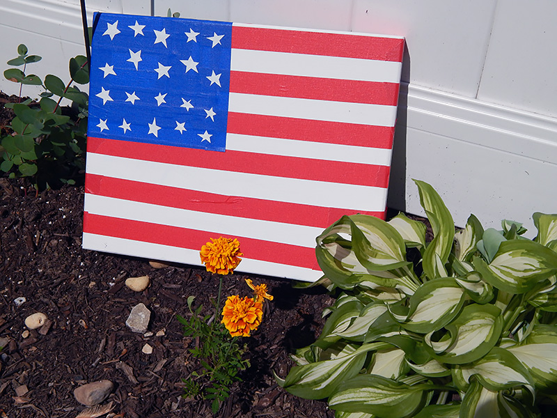 Salute your finished flag!