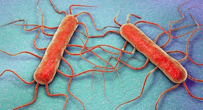 Listeria_1.jpg