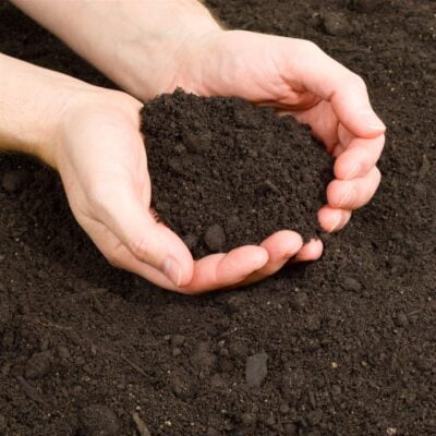 blog post image top soil