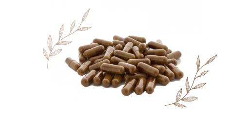 Ashwagandha Benefits