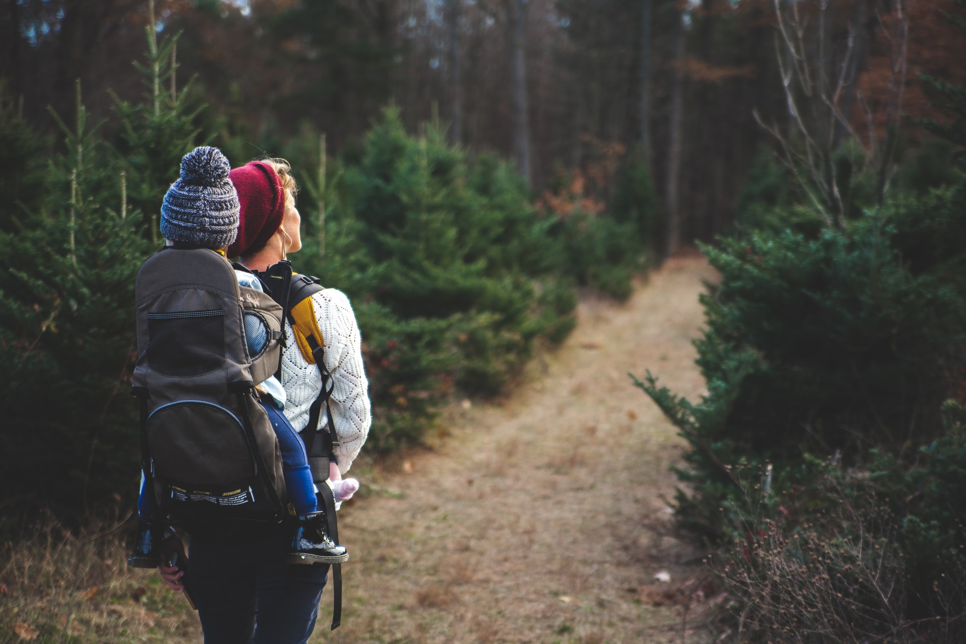 How to Get Your Kids Into Eco-Friendly Habits