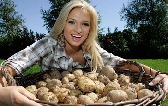 Irish potatoes