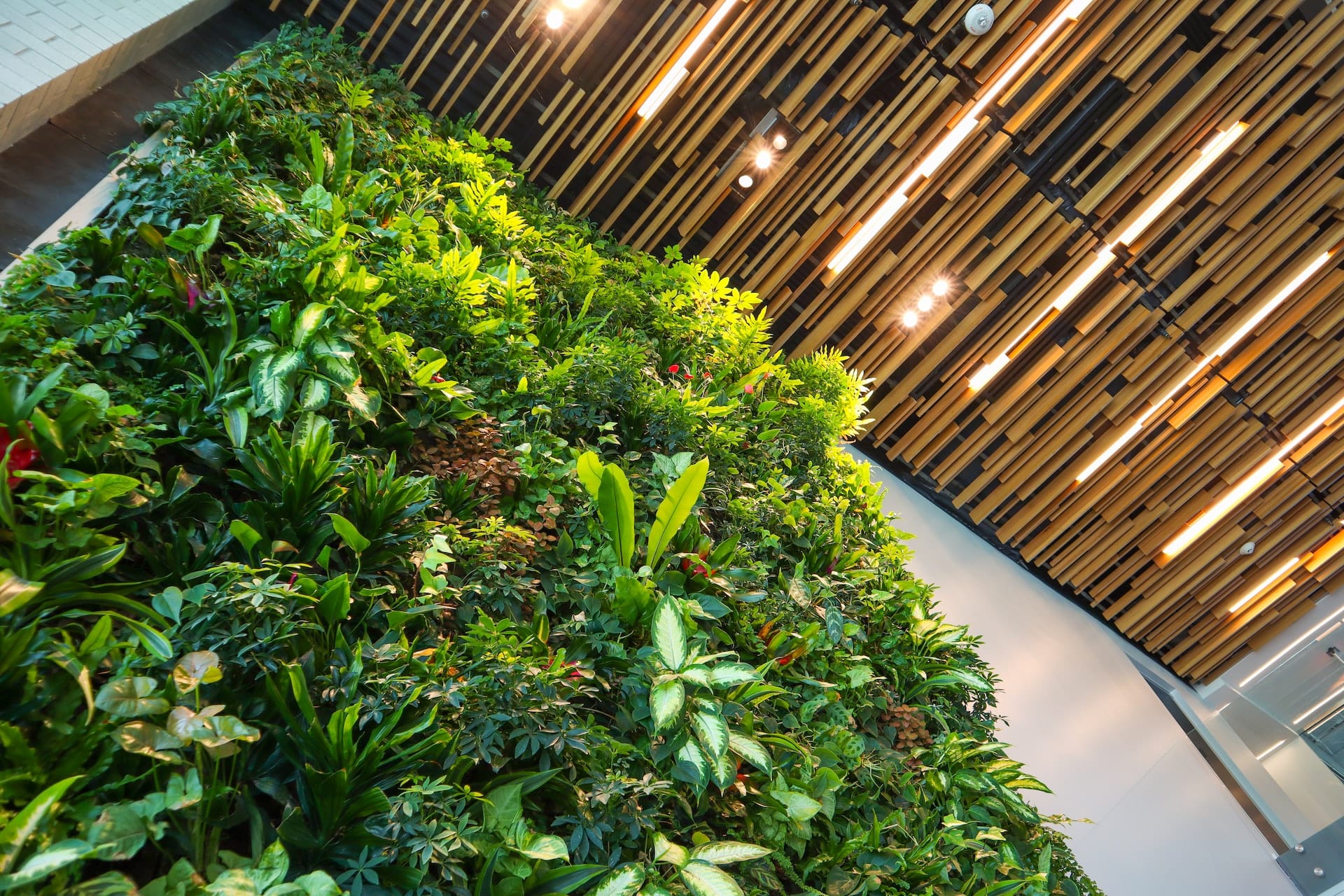 Wall with plants inside of building.