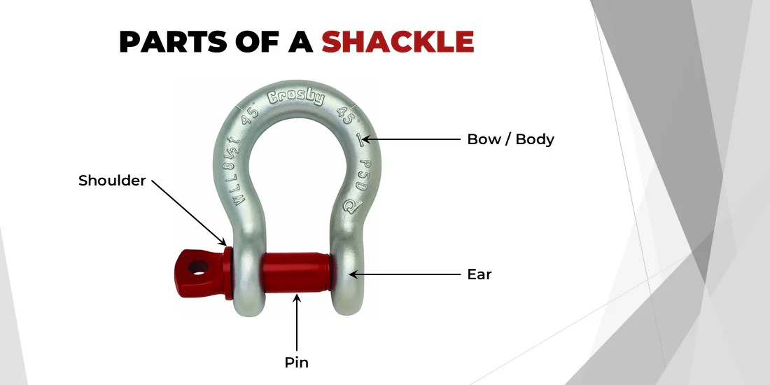 Shackle Infographic showing parts