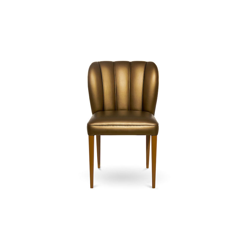 Burdifilek: A Progressive Design