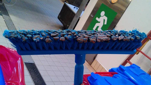 Bristle_Teaser_2_640x360.jpg