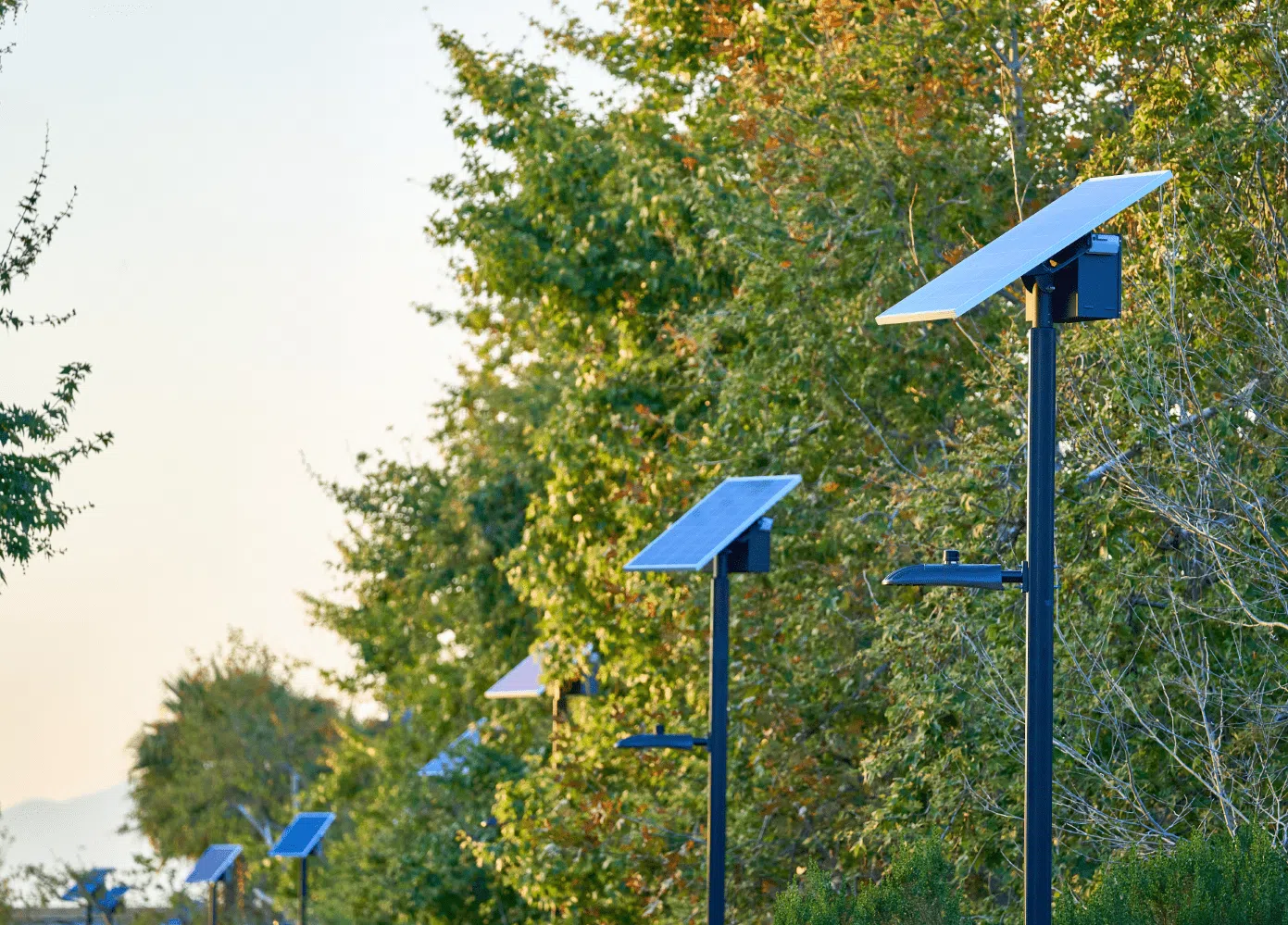 Solar street light along a scenic pathway