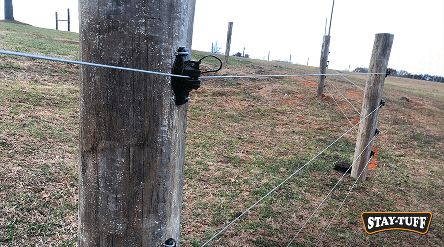 Electric fencing creates a humming or buzzing sound sometimes