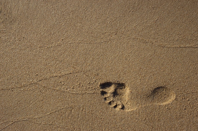 5 Ways You Can Reduce Your Carbon Footprint