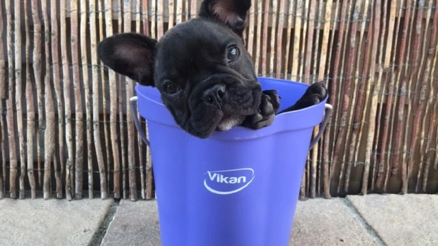 Bucket_Half_Full_Teaser_640x360.jpg