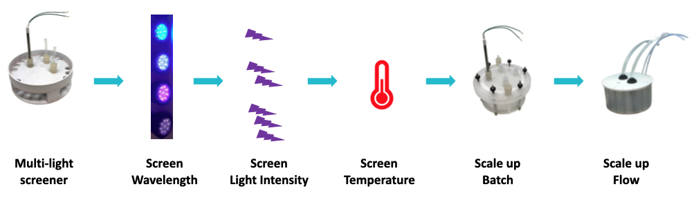 Lucent360â„¢ workflow example with the multi-light screener