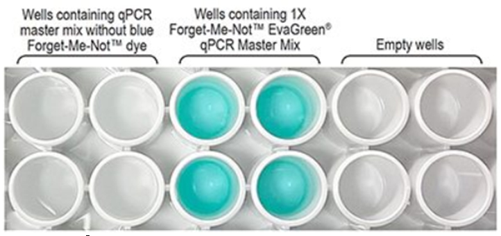 Forget-Me-Notâ„¢ EvaGreenÂ® qPCR Master Mix